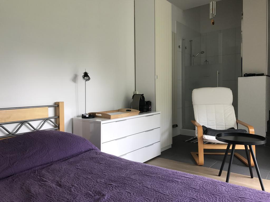Haus Eleisa Apartment Brunnen Luaran gambar