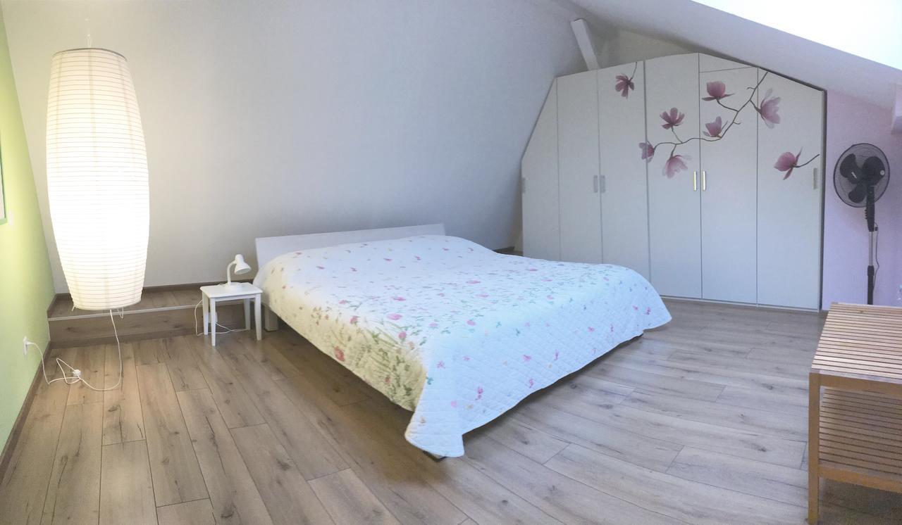 Haus Eleisa Apartment Brunnen Luaran gambar